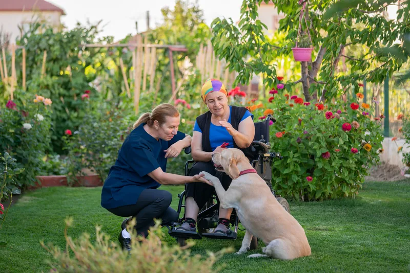 A support worker crouching beside a woman in a wheelchair in a garden, greeting a golden dog